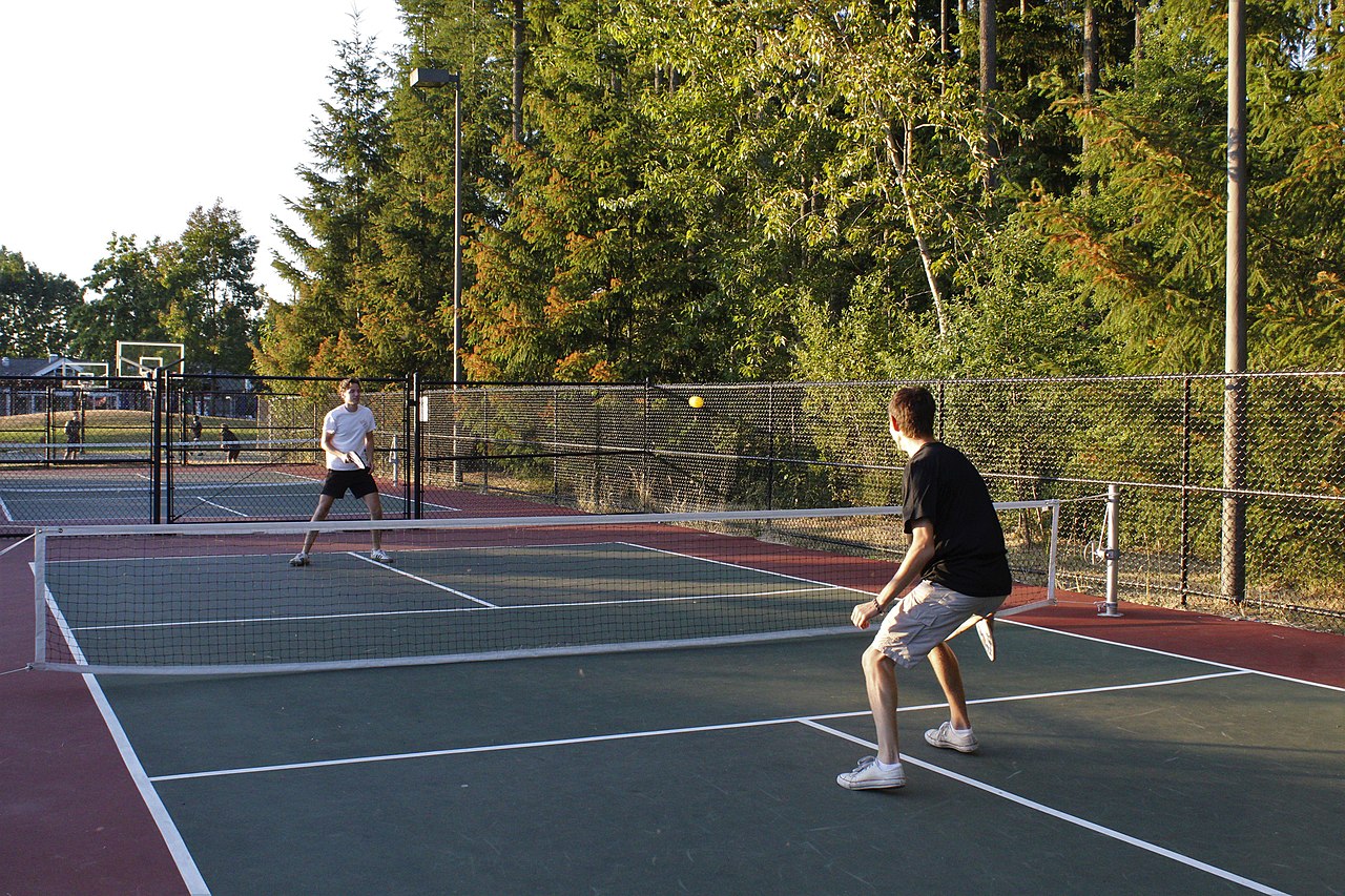 Developing Your Skills: From Beginner to Advanced Player