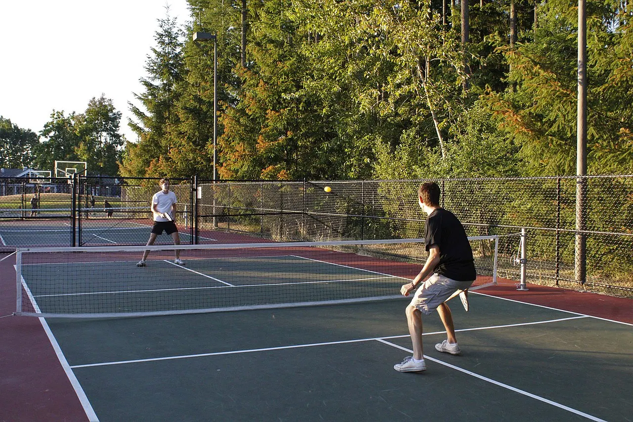 Developing Your Skills: From Beginner to Advanced Player